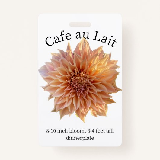 Badge Cafe au Lait Dahlia ID (Devant)