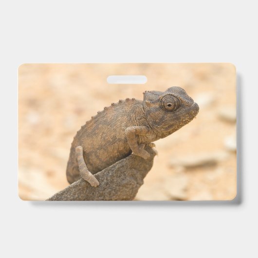 Badge Caméléon en Namibie (Avant)