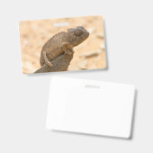 Badge Caméléon en Namibie (Avant & arrière)