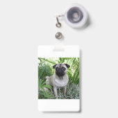 Badge carlin assis (Avant avec rétractable)