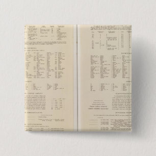 Badge Carré 5 Cm 6870 Légende Finlande, Russie centrale