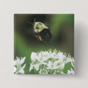 Badge Carré 5 Cm Abeille loin