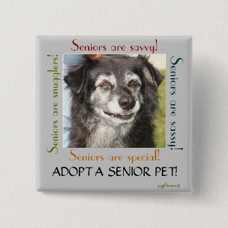 Badge Carré 5 Cm Adopter un animal de compagnie senior