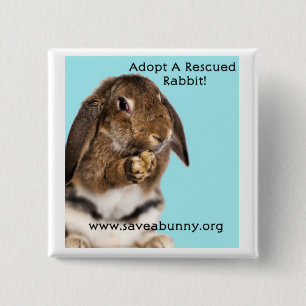 Badge Carré 5 Cm Adoptez un lapin secouru !