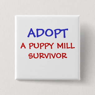 BADGE CARRÉ 5 CM ADOPTEZ, UN SURVIVANT DE MOULIN DE CHIOT
