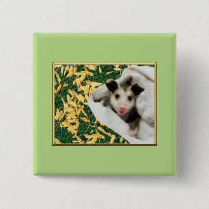Badge Carré 5 Cm Adorable bébé doux Opossum