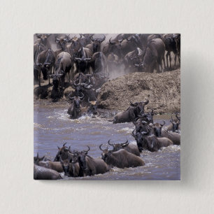 Badge Carré 5 Cm Afrique, Kenya, Parc national Masai Mara.
