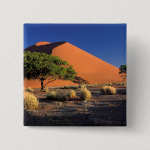 Badge Carré 5 Cm Afrique, Namibie, Parc Namib-Naukluff, Sossosvlei