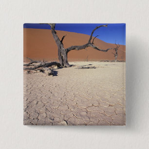 Badge Carré 5 Cm Afrique, Namibie, région de Sossusvlei. Dunes de s