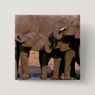 Badge Carré 5 Cm Afrique, Tanzanie, Parc national de Tarangire.