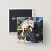 BADGE CARRÉ 5 CM AGRICULTURE (Devant & derrière)