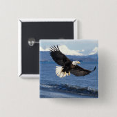 Badge Carré 5 Cm aigle à tête blanche, Haliaeetus leuccocephalus en (Devant & derrière)