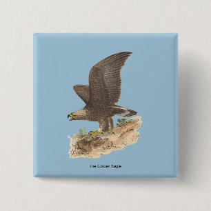 Badge Carré 5 Cm Aigle d'or (Aquila chrysaetos) NY Bird Image