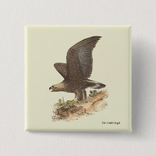 Badge Carré 5 Cm Aigle d'or (Aquila chrysaetos) NY Bird Image