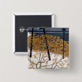 Badge Carré 5 Cm Akseli Gallen-Kallela - Automne (Devant & derrière)