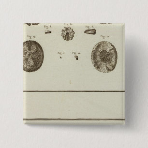 Badge Carré 5 Cm Alaska