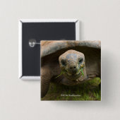 Badge Carré 5 Cm Alimentation de tortue d'Aldabra (Devant & derrière)