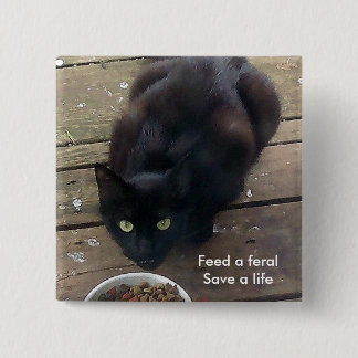 Badge Carré 5 Cm "Alimentez un sauvage, bouton sauvage de chat