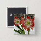 Badge Carré 5 Cm Amaryllis en Fête Rouge Neige Hiver Floral (Devant & derrière)