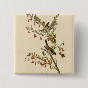 Badge Carré 5 Cm American Tree Sparrow, les oiseaux d'Amérique d'Au