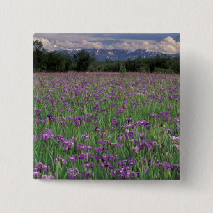 Badge Carré 5 Cm Amérique du Nord, États-Unis, Alaska, Anchorage,