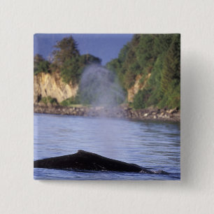 Badge Carré 5 Cm Amérique du Nord, États-Unis, Alaska, Passage inté