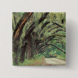 Badge Carré 5 Cm Amérique du Nord, États-Unis, Géorgie, Cumberla