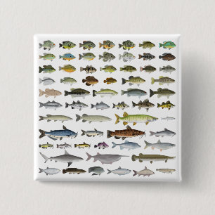 Badge Carré 5 Cm Amérique du Nord Groupe de poissons d'eau douce