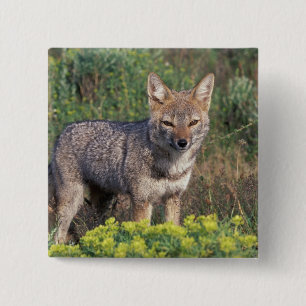 Badge Carré 5 Cm Amérique du Sud, Chili, Torres del Paine NP,