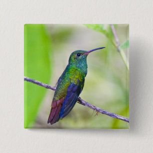 Badge Carré 5 Cm Amérique du Sud, Costa Rica, Sarapiqui, La Selva