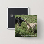 Badge Carré 5 Cm Amis de ferme (Devant & derrière)