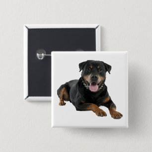 Badge Carré 5 Cm Amoureux de chiots Rottweiler mignon