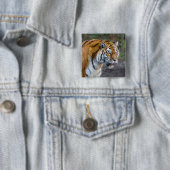 Badge Carré 5 Cm Amur tiger (En situation)