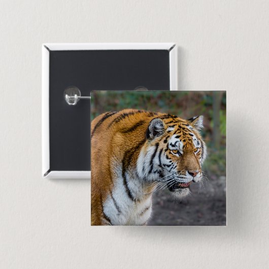 Badge Carré 5 Cm Amur tiger (Devant & derrière)