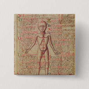Badge Carré 5 Cm Anatomie du corps humain