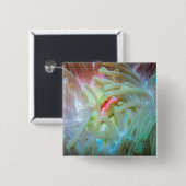 Badge Carré 5 Cm Anémone multicolore (Devant & derrière)