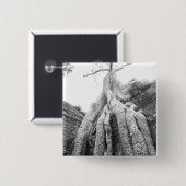 Badge Carré 5 Cm Angkor Cambodia, Tree Ta Prohm (Devant & derrière)