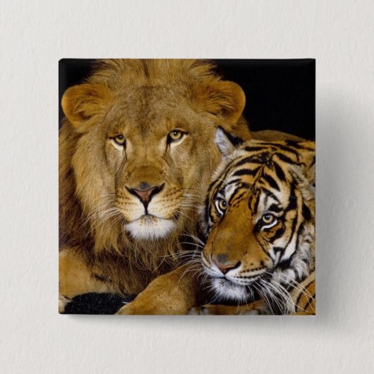 Badge Carré 5 Cm Animal (Devant)