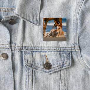Badge Carré 5 Cm Animaux de bébés cutest Corolla nouvellement née