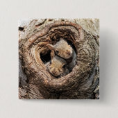 Badge Carré 5 Cm Animaux de bébés cutest | Deux jeunes écureuils (Devant)