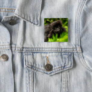 Badge Carré 5 Cm Animaux de bébés cutest Gorille des Montagnes In