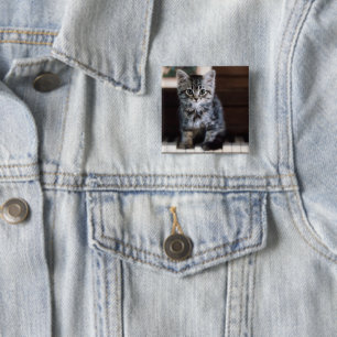 Badge Carré 5 Cm Animaux de bébés cutest Kitten sur Touches de pi