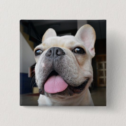 Badge Carré 5 Cm Animaux de bébés cutest | Le visage de Bulldog (Devant)