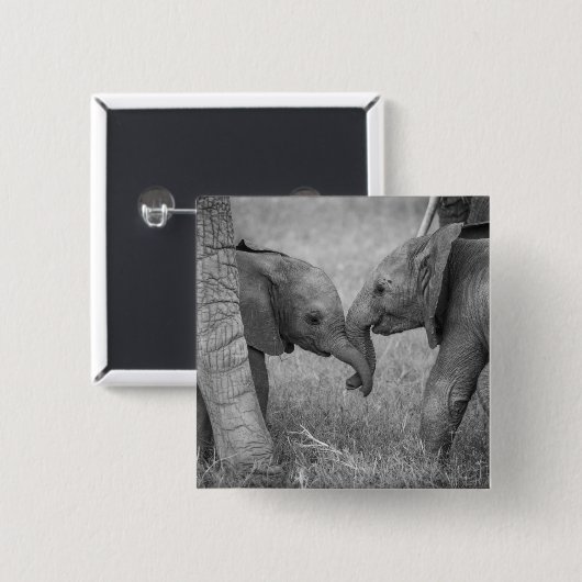 Badge Carré 5 Cm Animaux de bébés cutest | Salutation des éléphants (Devant & derrière)