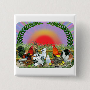 Badge Carré 5 Cm Animaux de ferme