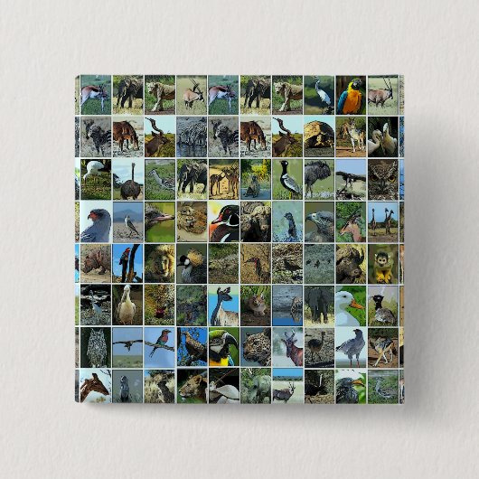 Badge Carré 5 Cm animaux du monde (Devant)