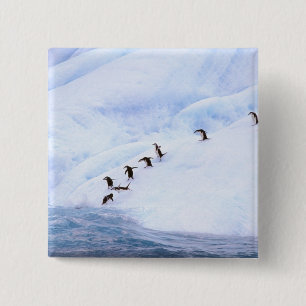 Badge Carré 5 Cm Antarctique, péninsule Antarctique. Chinstrap