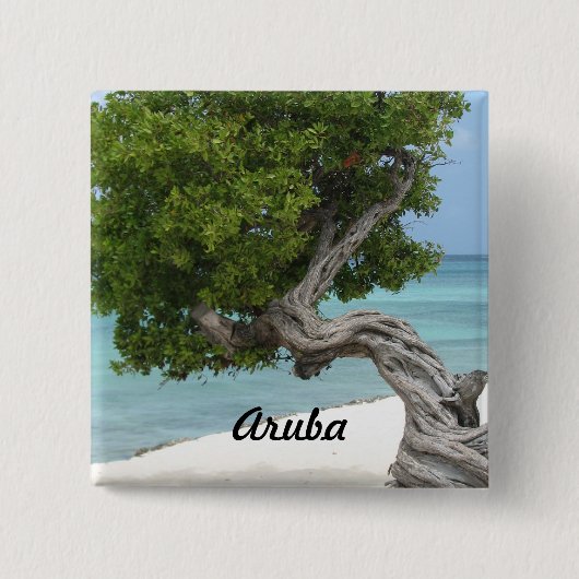 Badge Carré 5 Cm Arbre de Divi Divi dans Aruba (Devant)
