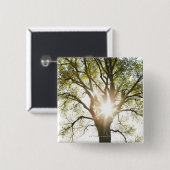 Badge Carré 5 Cm Arbre ensoleillé (Devant & derrière)