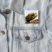 BADGE CARRÉ 5 CM ARBRES (En situation)